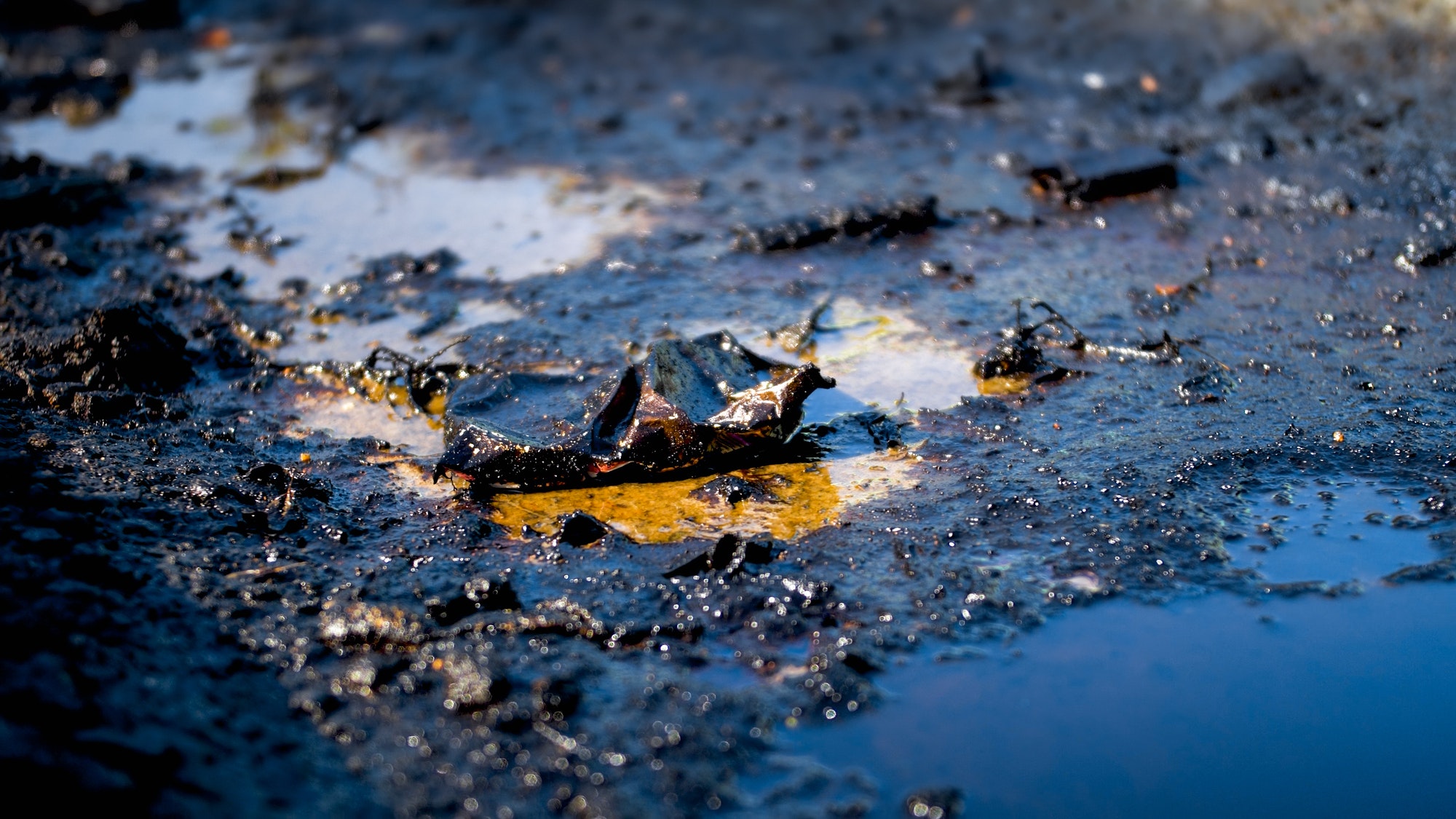 Closeup photo of toxic wastes, oil and plastic polluting ground. Concept of harm to environment and